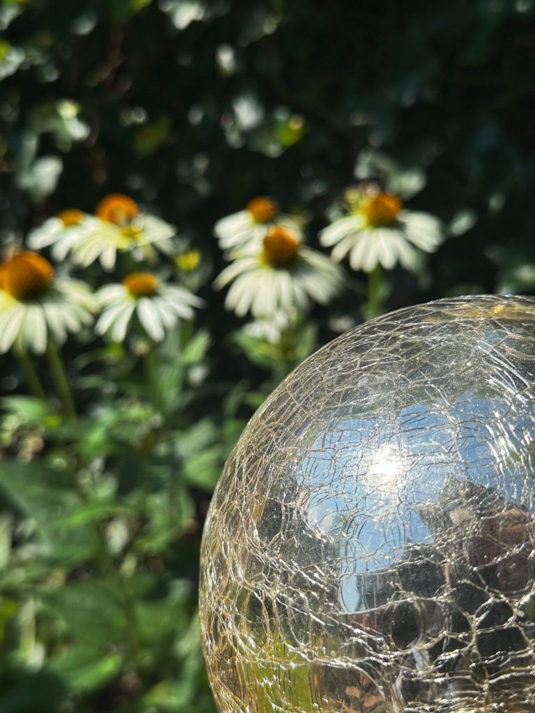 Glaskugel mit Lichtreflexen vor weißen Echinacea-Blüten im Garten – Stille, Klarheit, Natur