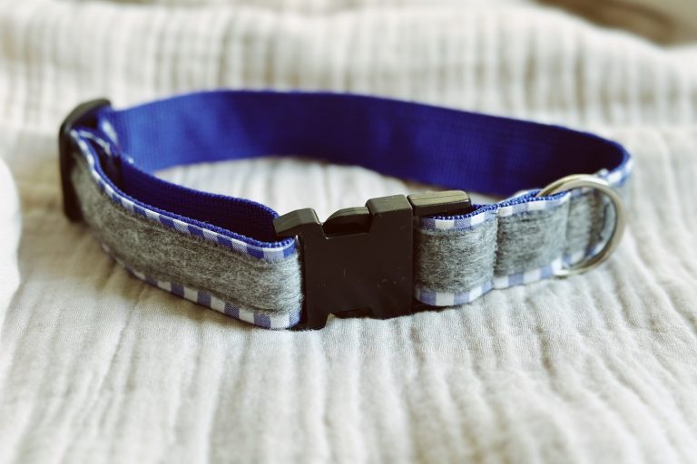 Hundehalsband mit blau-weißem Karomuster und königsblauem Innenfutter auf weißem Musselinstoff