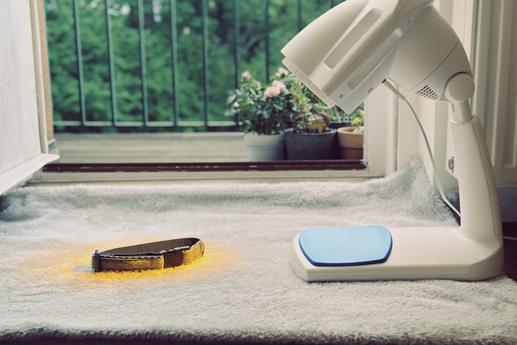 Bioptron PRO 1 mit Tischstativ am Boden, daneben ein Hundehalsband im warmen Lichtkegel der eingeschalteten Lampe